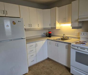 Spacieux Appartement 1 Chambre - Photo 1