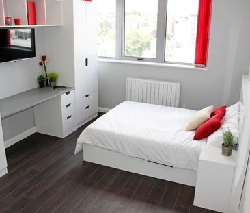 Studio to rent - Photo 3