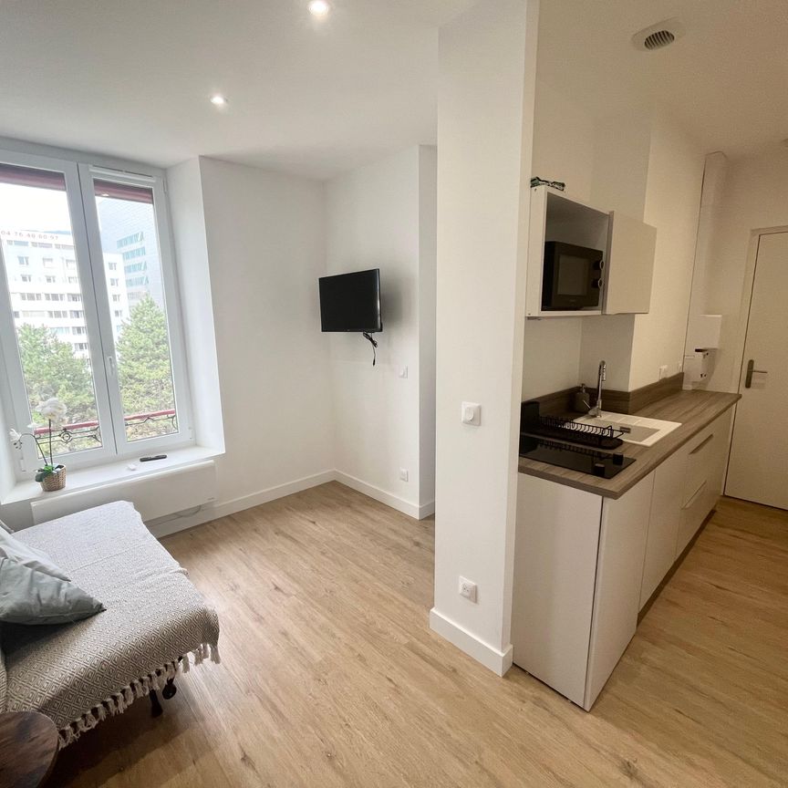 Location Appartement 2 pièces 28m² GRENOBLE 38000 - Photo 1