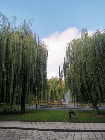 Starrängsringen, Stockholm - Foto 2