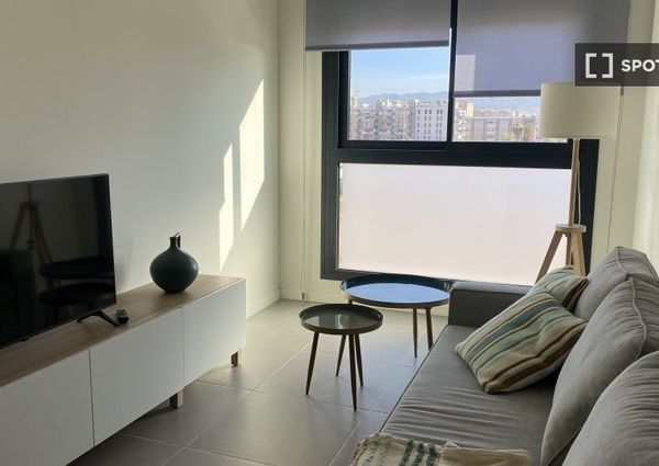 malaga, Andalusia 29004