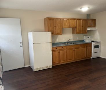 Charlie Lake Apartments - Photo 4