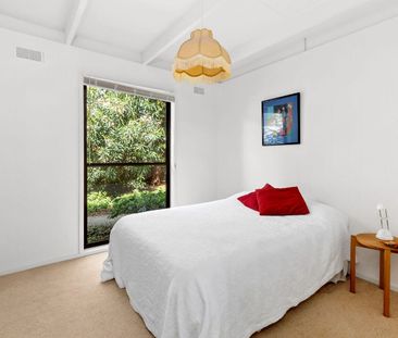 Wonder on Wattle Bird - Photo 6