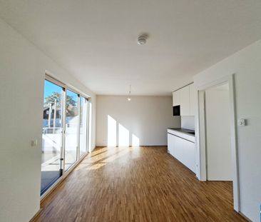 Ihr neues Zuhause zwischen Stadt und Alter Donau - Photo 2