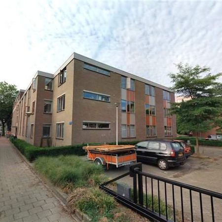 Chambre Dr Joop den Uylstraat 26/F, Eindhoven - À louer - Photo 3