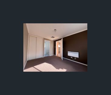 Pet Friendly Oasis - Apply First! - Photo 2