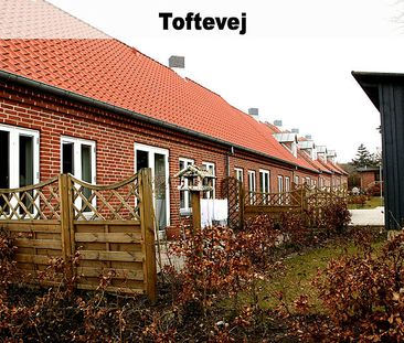 Rørsangervej,Teglvænget,Birkefredsvej 446-0 - Photo 6