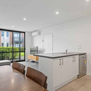 Bunyan St Opportunity - Photo 2