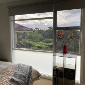 Castle Cove - Photo 2