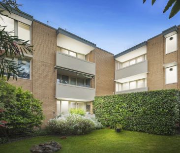 Spacious Sun-lit Living, Private Leafy Views - Photo 1