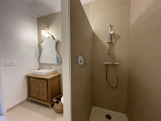 Location Appartement 1 pièce 25m² ALBI 81000 - Photo 1