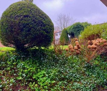 Temple Orchard, High Wycombe, HP13 - Photo 6