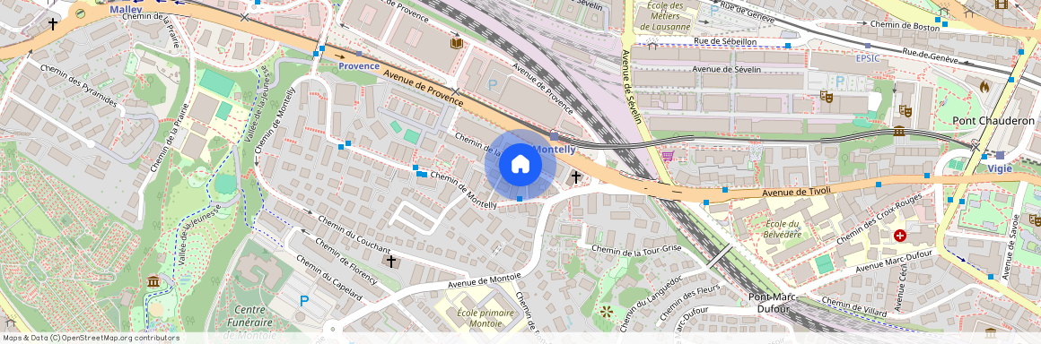 1007, Lausanne, chemin de montelly, 10