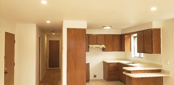 🏠 GRAND 4½ À LOUER – Rosemont / La Petite Patrie MONTRÉAL 💵 1 850 $ / mois - Photo 2