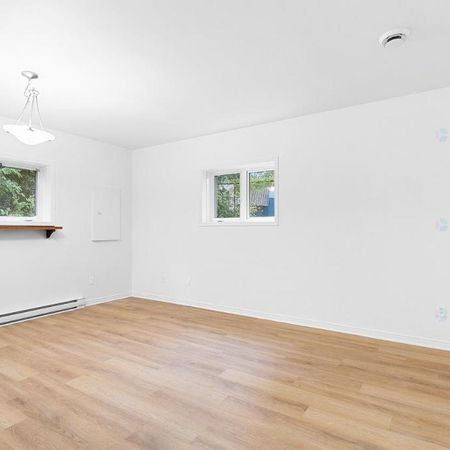 Appartement 1 CC en semi sous-sol //DISPONIBLE DÈS MAINTENANT - Photo 3