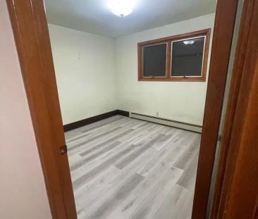 1709 HANSULD STREET - Photo 3