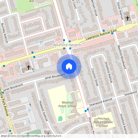 58 Janet Boulevard Unit# Lower Level, Toronto