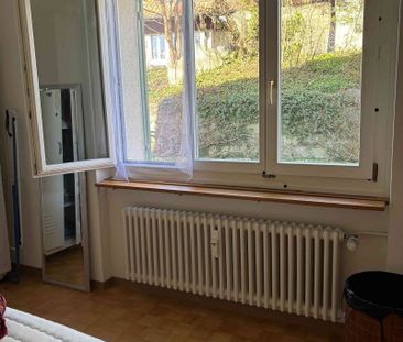 3 Zimmer, 65 m², 1. Stock - Foto 2