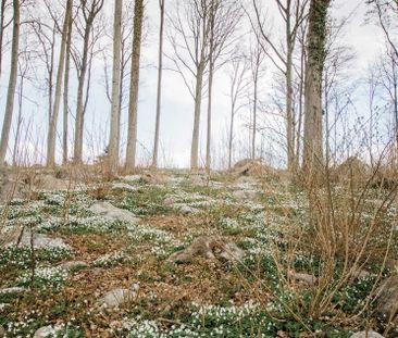 Höjdvägen 19B, Valje - Foto 6