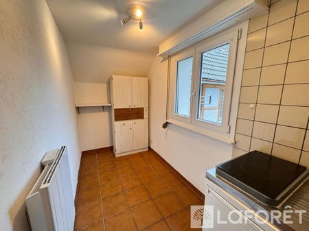 Appartement T1 Hésingue à louer - Photo 3