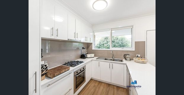 VILLA IN A BEAUTIFUL TREE-LINED STREET - Photo 1