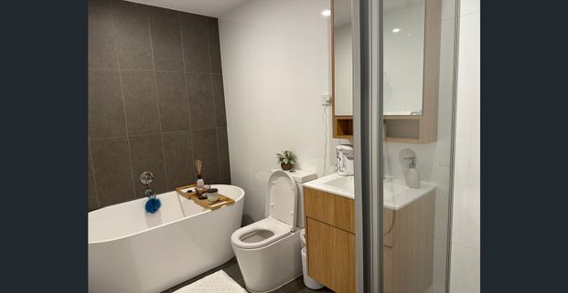 Near New 2 Bedroom Apartment ready to move in - Photo 1