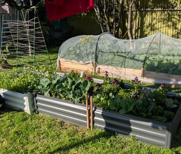 Lower Plenty - Photo 1