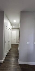 Modern Upscale Living at Central Park - North Village - Photo 4