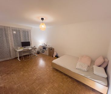 Wir suchen neue Mieter! Finding a new tenant! - Foto 1