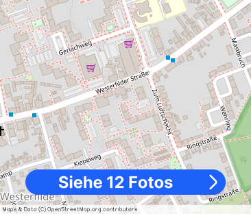 Top renovierte 3-Zimmer-Wohnung direkt bezugsfertig - Foto 1