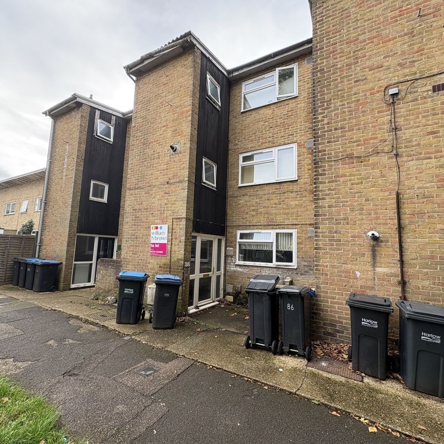 Ladyshot, Harlow - Photo 1