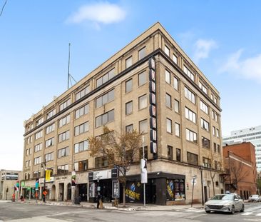 Appartement à louer - Montréal (Ville-Marie) (Centre) - Photo 2