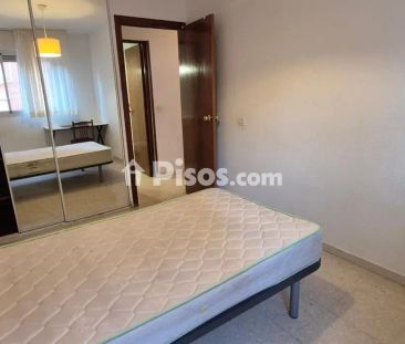 Piso en alquiler en Avenida de Isabel Moctezuma - Photo 5