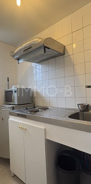 Location Appartement 1 pièce 25m² RAMONVILLE ST AGNE 31520 - Photo 1