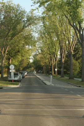 Homestead Manor - Photo 1