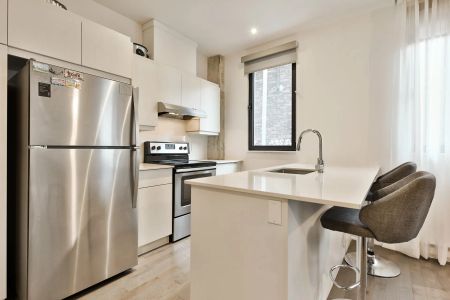 4485 Rue St-Dominique, app.101, Le Plateau-Mont-Royal (Montréal) - Photo 4