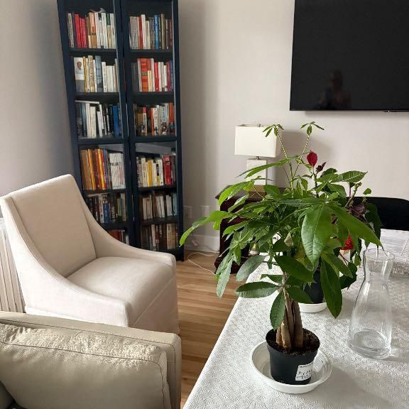 APPARTEMENT 3 1 2 RÉNOVÉ À LOUER COTE-DES-NEIGES CDN - Photo 1