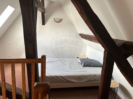 pièces de 37 - Photo 4