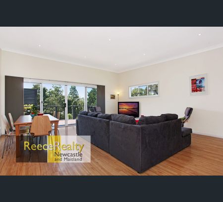47 Lorna Street, Waratah West, NSW 2298 - Photo 5