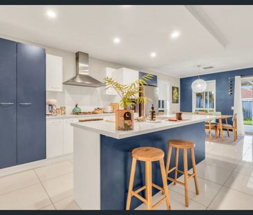 Modern Comfort and Easy Living in Surrey Downs - Photo 6