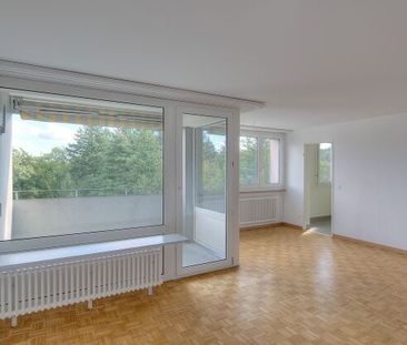 Zone de loisirs locale à proximité - Photo 2