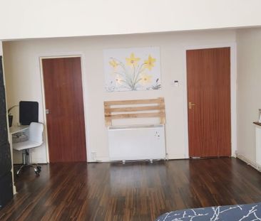 Studio Flat, Villa Road, B19 - Photo 4