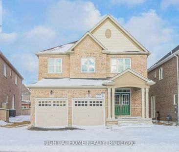 BSMT - 31 EMPIRE DRIVE — 2 Bedroom - Photo 1