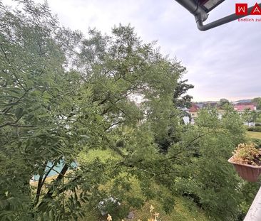 Herbstspaziergänge an der Traun & Shopping ums Eck – 2-Zimmer-Wohnu... - Photo 1