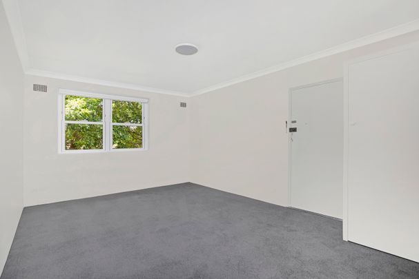 5/235a Alison Road, Randwick NSW 2031 - Apartment For Rent | Domain - Photo 1