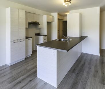 Logement 4 1/2 + Bureau - Décembre 2024 - Photo 1