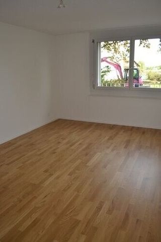 Appartement de 4,5 pièces dans le quartier familial de Nessleren - Photo 4