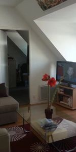 Location Appartement 2 pièces 41 m2 à Saint-Sébastien-sur-Loire - Photo 3