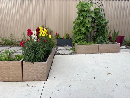 Castle Hill - Photo 3