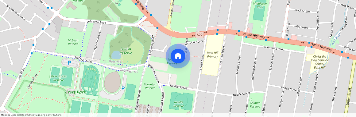 16 Tucker Street, Bass Hill NSW 2197